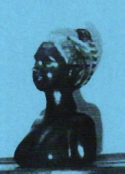 Beeld Marijke Nieuwenhuyse